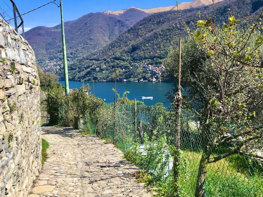 Romantic Home Stone With Amazing View Lake Of Como And Oleandra Laglio Exterior photo