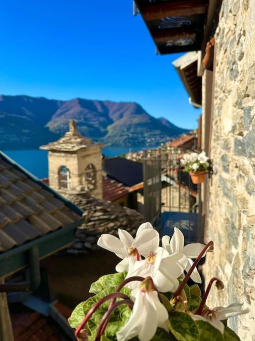 Romantic Home Stone With Amazing View Lake Of Como And Oleandra Laglio Exterior photo